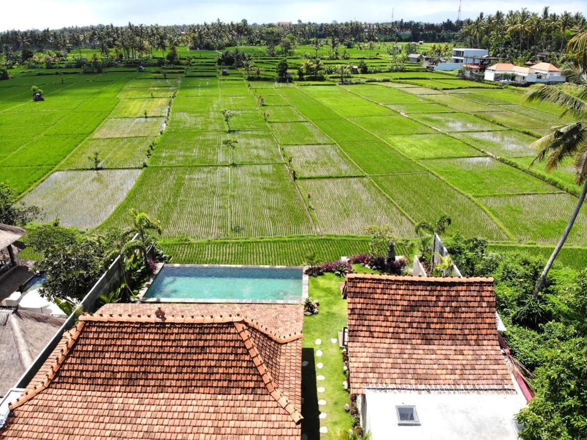 Villa O'Hea Ubud Εξωτερικό φωτογραφία