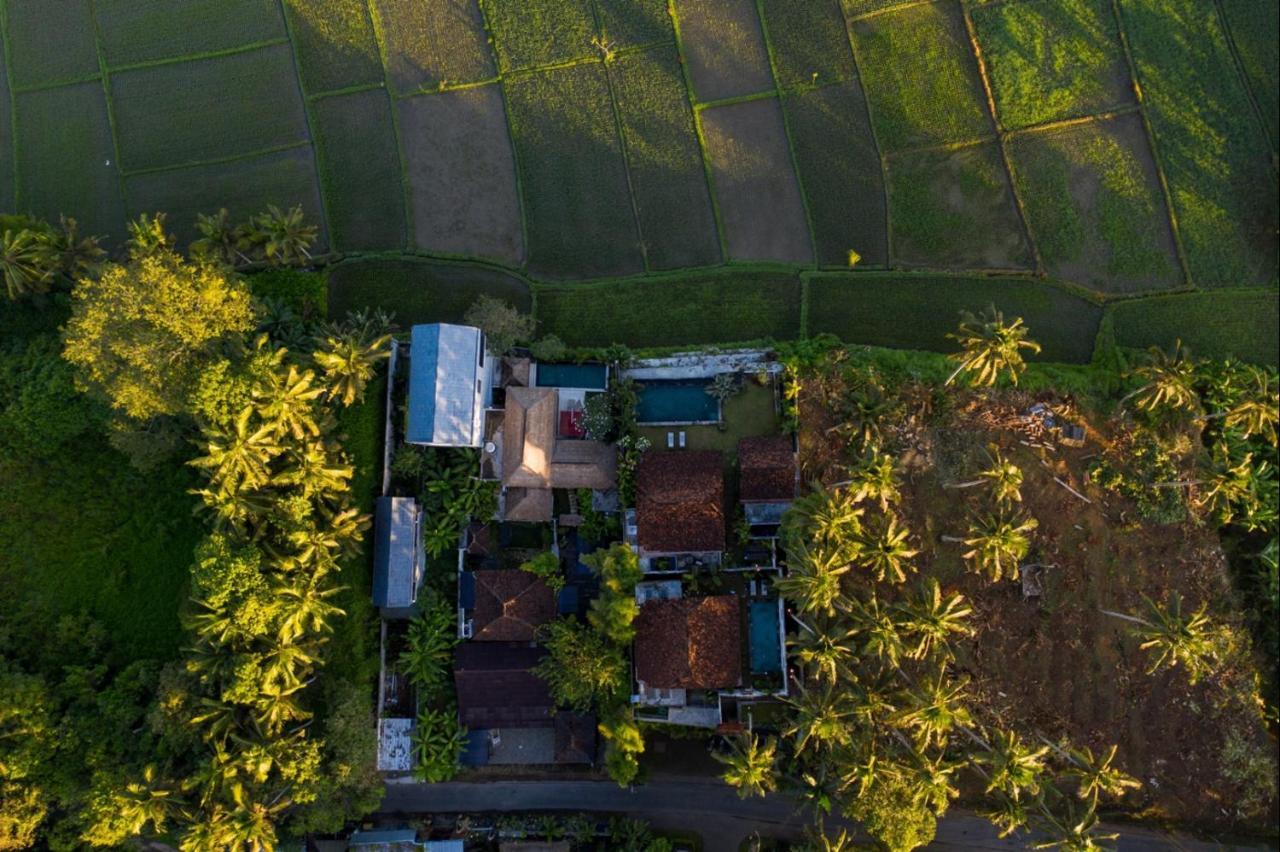 Villa O'Hea Ubud Εξωτερικό φωτογραφία